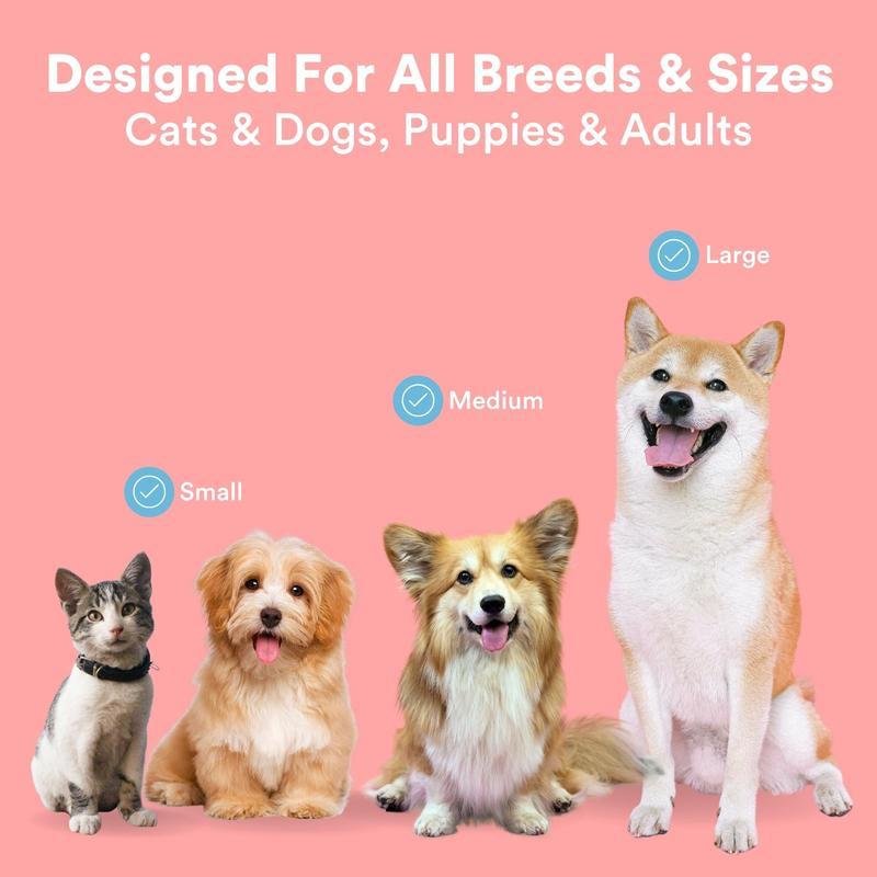 Jasper Dog Toothbrush, 360º Dog Tooth Brushing Kit, Cat Toothbrush, Dog Teeth Cleaning, Dog Finger Toothbrush, Dog Tooth Brush for Small & Large Pets - Blue 2-Pack